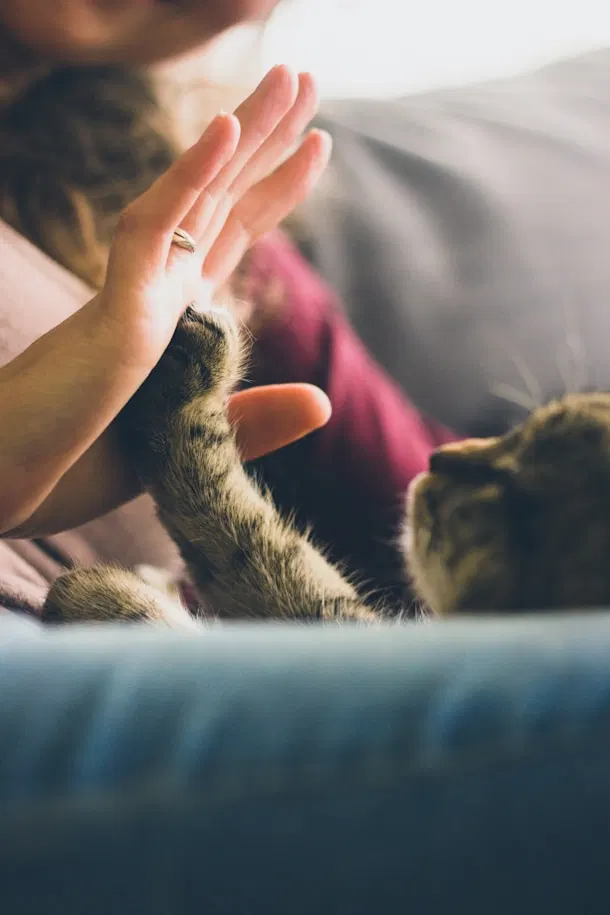 Nufur care detail 2